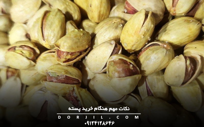 نکات مهم هنگام خرید پسته