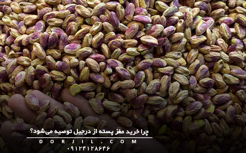  چرا خرید مغز پسته از درجیل توصیه می‌شود؟